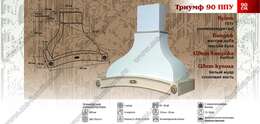 Вытяжка Триумф 90 см ППУ Вытяжка Триумф 90 см ППУ